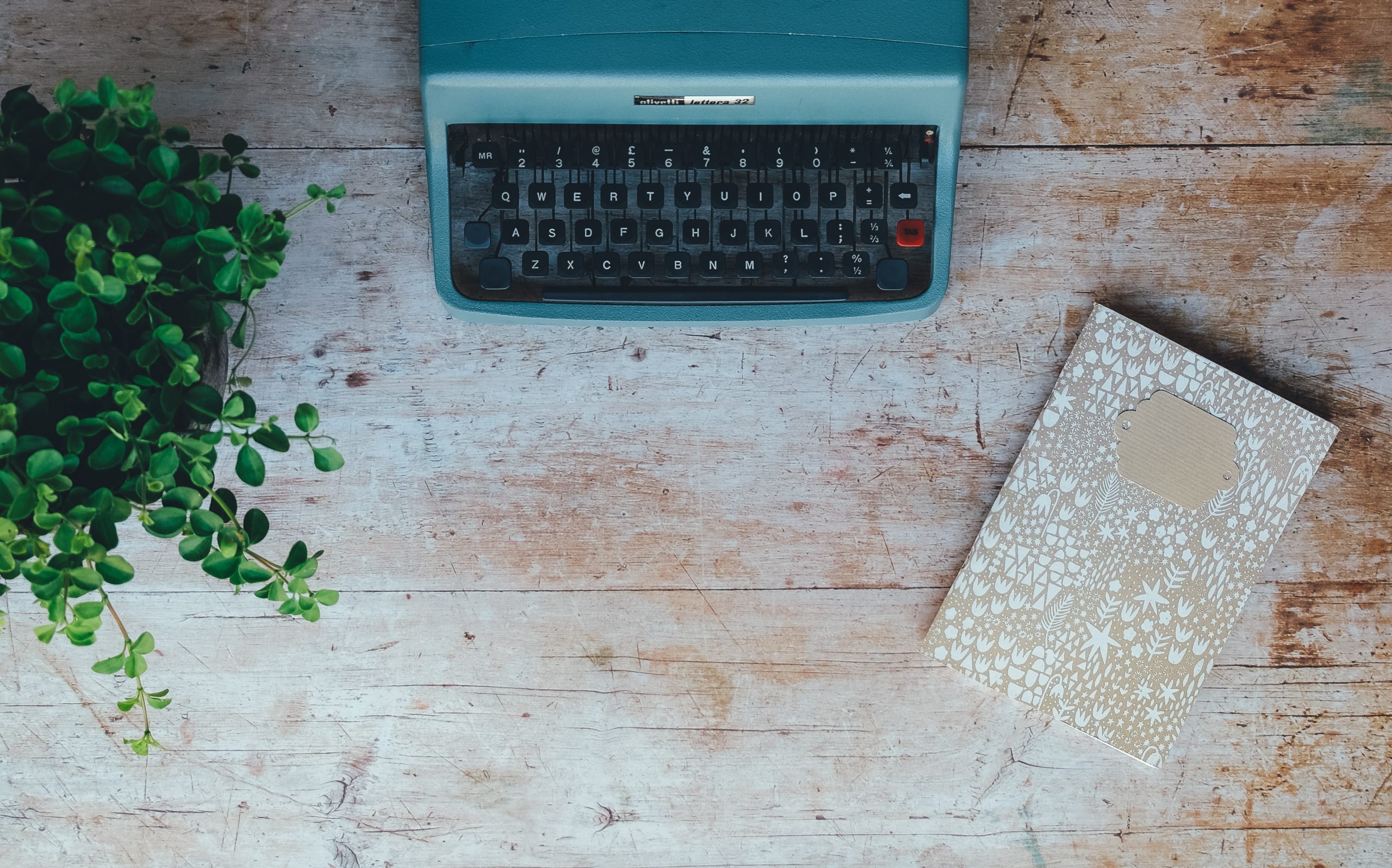 máquina de escrever entre uma planta e um caderno